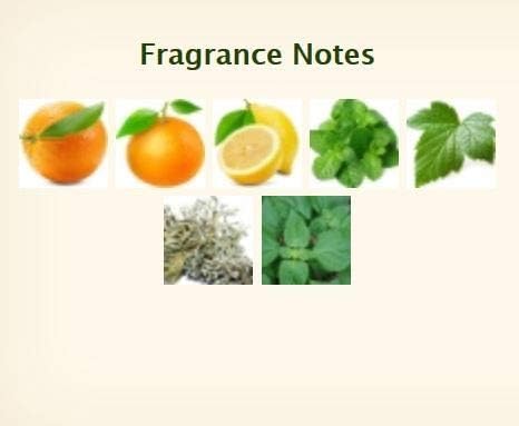 Hermes Eau d'Orange Verte Shower Gel 5.4 fl oz Set of 4