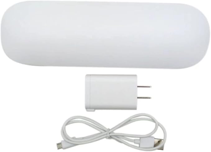 2023 Upgraded Economical Travel Charger Case w/AC Charer + USB Cable for Philips Sonicare HX6xxx HX89 HX91 Series