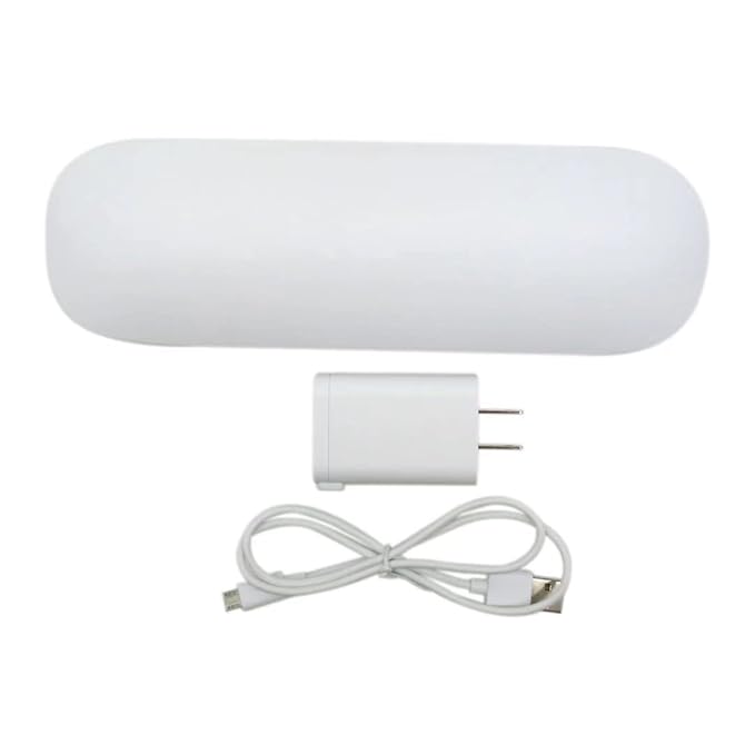 USonline911 Premium Economical Travel Charger Case w/AC Charer + USB Cable for Philips Sonicare HX6xxx HX89 HX91 Series