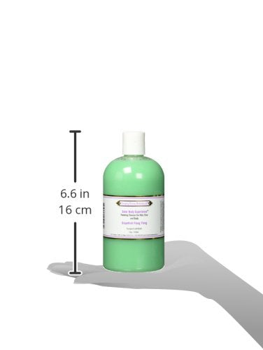 Simply Divine Botanicals Outer Body Experience Natural Foaming Cleanser for Body Face and Hair 16 oz (Grapefruit-Ylang Ylang)