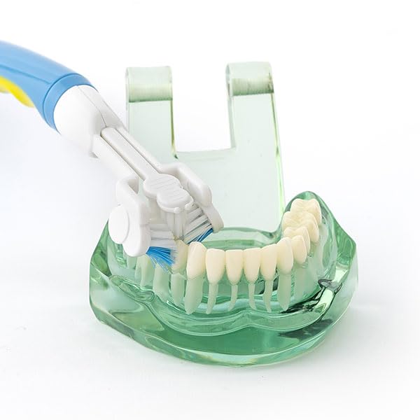 Triple Bristle Brush and Bite Handle Replacement Brush Head Combo | Special Needs &amp Autism Mouth Prop Toothbrush | Ergonomic Handle w/Bite Block | Patented 3 Head Design | Kids &amp Adults