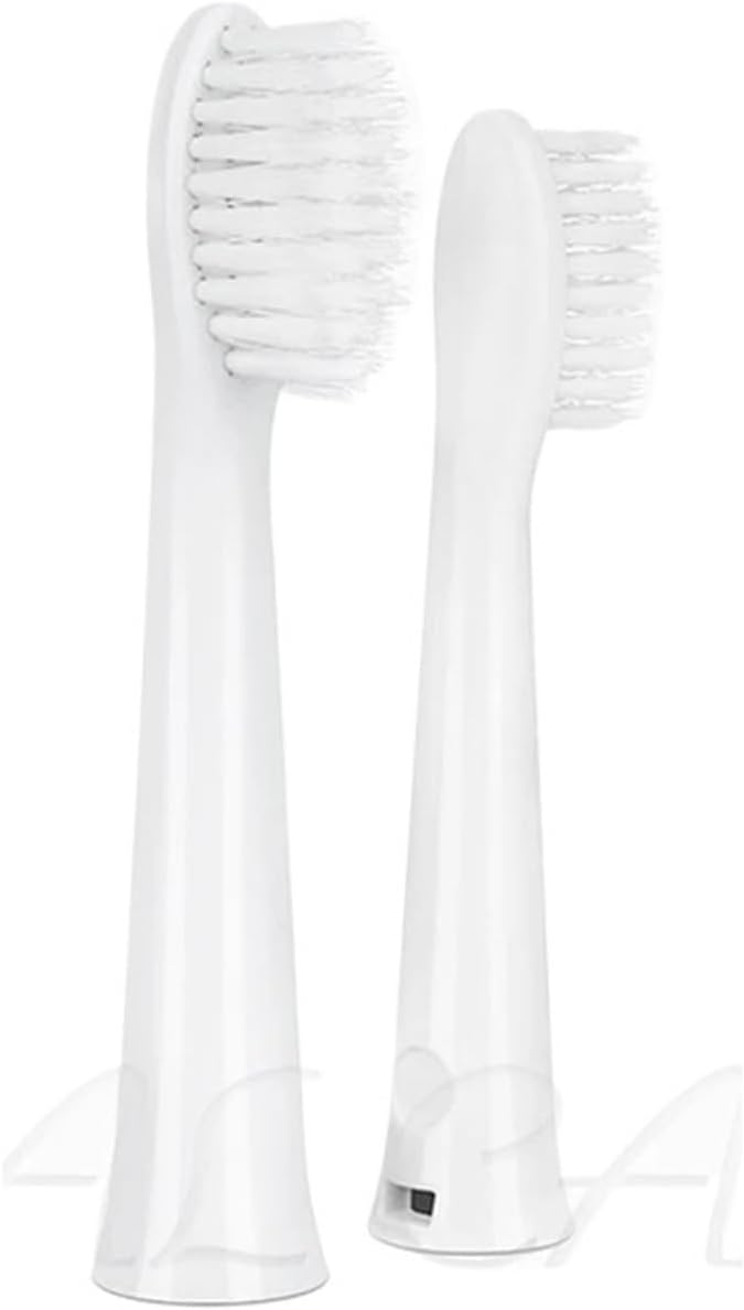 Compatible for Panasonic DM71/DM81/DM31/DM61/DM711/DM712 Electric Toothbrush Heads DML1/PDM7B/PDM78/DM711P(Standard 12PCS)