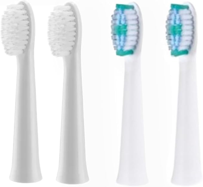 Replacment Electric Toothbrush 2pcs Large and 2pcs Small Brush Head for Panasonic EW-DM81-K503 EW-DM81 Electric Toothbrush Head Tooth Care Head Brush (4pcs)