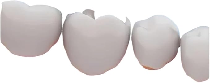 Compatible for 4/8/16pcs Replacement Brush Heads Compatible with OB Electric Toothbrush Pro1000 8000 9000 Sonic Adults Vitality(4 pcs)