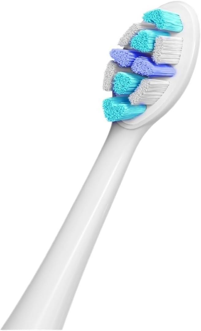 Compatible for Seago Electric Toothbrush Heads 12 PCS IPX7 Waterproof with Holder C027(SG-C027-12PCS Pink)