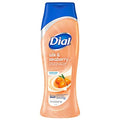 Dial Body Wash Pamper &amp Indulge Silk &amp Seaberry 16 fl oz Pack of 9