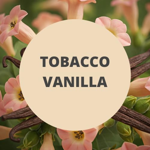 Black Canyon Tobacco Vanilla Scented Body Wash 16 Oz
