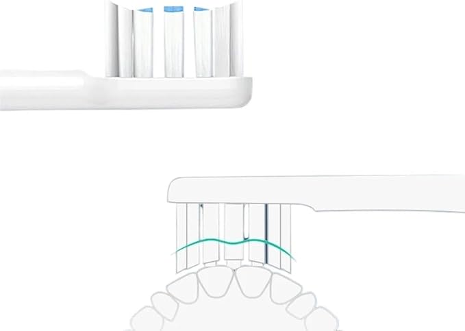 8 Toothbrush Heads Compatible for MIJIA Electric T301 MES605 T302 MES608 Replacement Head(8Pcs White and Blue)
