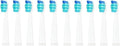 Compatible for Seago Tooth Brush Head Electric Toothbrush Heads Replaceable for SG-507B/908/909/(10pcs White)