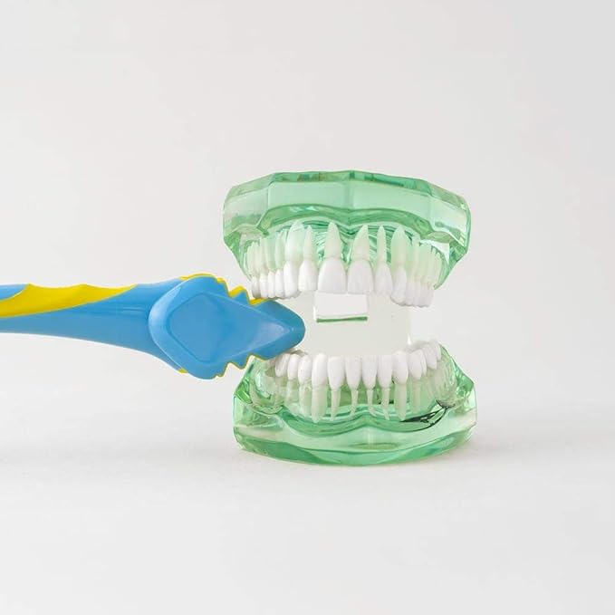 Triple Bristle Brush and Bite Handle Replacement Brush Head Combo | Special Needs &amp Autism Mouth Prop Toothbrush | Ergonomic Handle w/Bite Block | Patented 3 Head Design | Kids &amp Adults