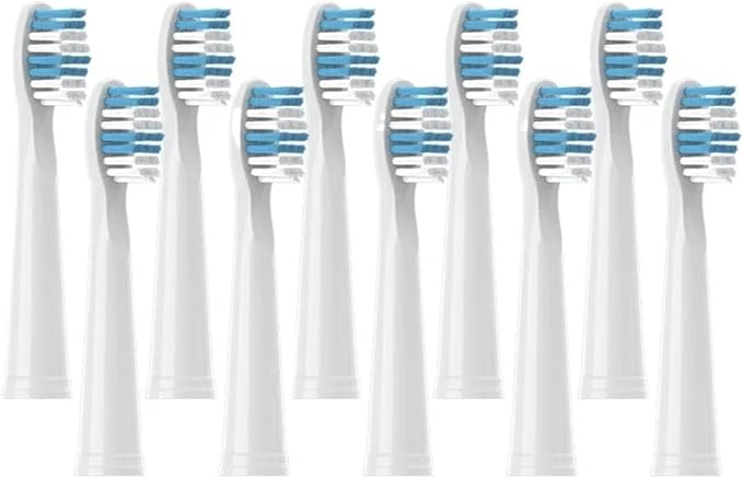 Replacement Brush HeadsCompatible for Seago Electric Toothbrushes E1-9/SG2303/SG575 Vacuum Packing(10pcs White)