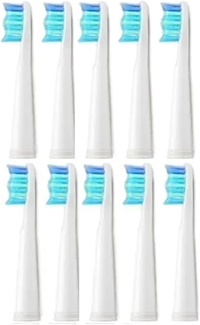 10pcs Electric Replacement Brush Heads Toothbrush  Compatible for Seago SG910 SG507 SG958 SG515 SG949 SG575(10 White Heads)