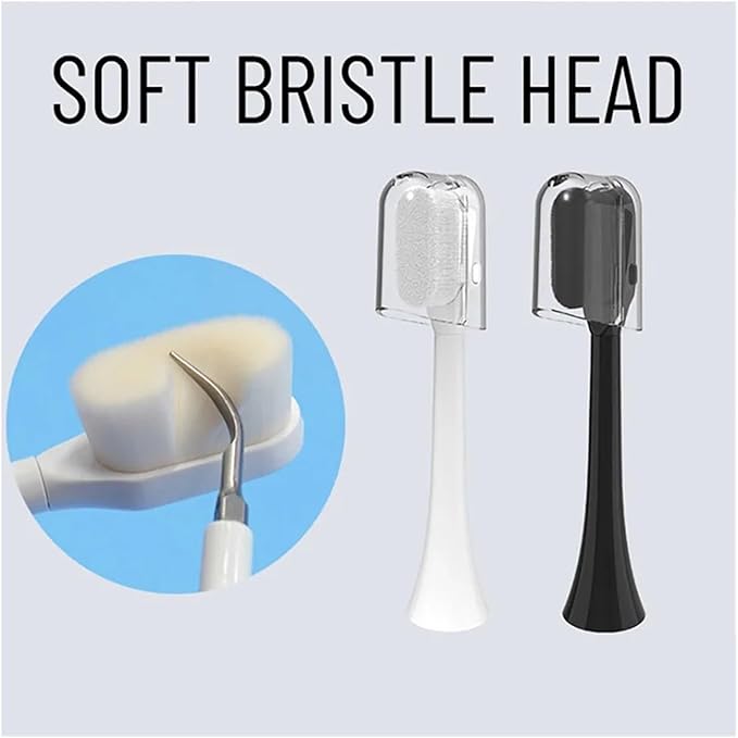 Toothbrush Brush Head Soft Bristle Compatible for Phil Soni HX3 HX6 HX9 Care(FLP-R1-WH2BK2)