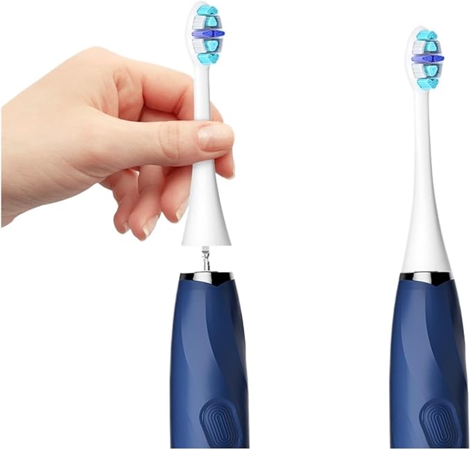 Compatible for Seago Electric Toothbrush Heads 12 PCS IPX7 Waterproof with Holder C027(SG-C027-12PCS Pink)