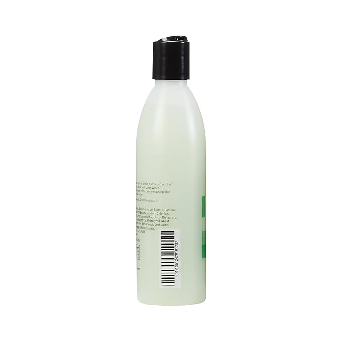 McKesson Body Wash and Shampoo with Aloe Cucumber Melon Scent 8 oz 48 Count