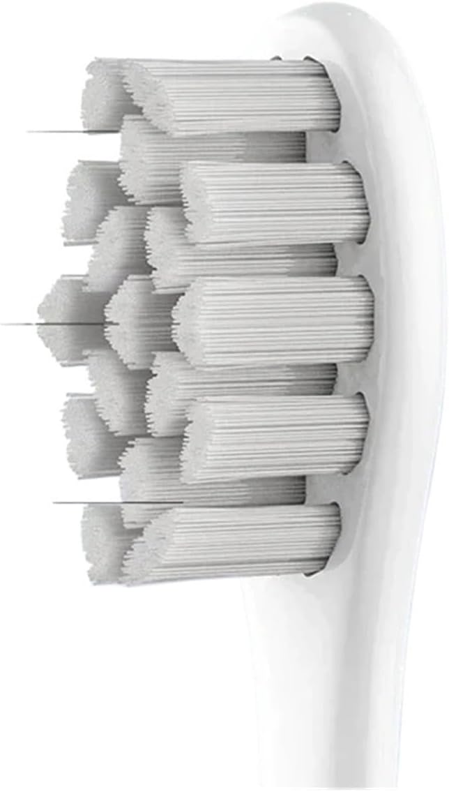 Compatible with Series Smart Toothbrush Replacement Brush Heads(P1S12 2PCS)
