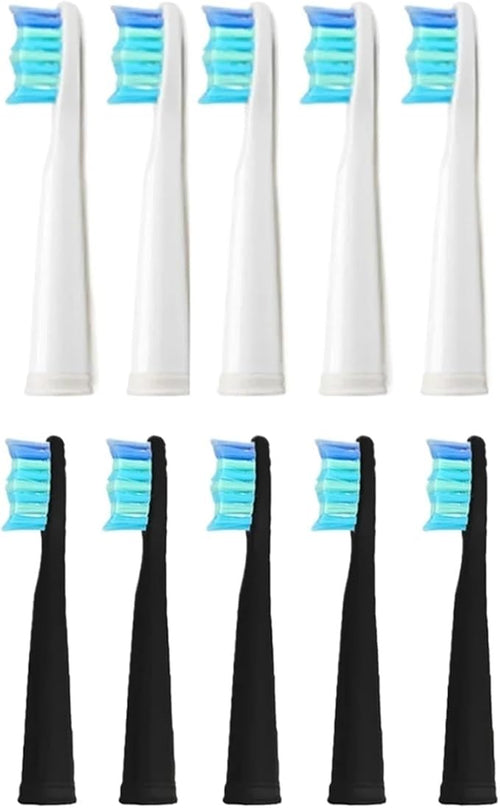 10pcs Electric Replacement Brush Heads Sonic Toothbrush Hygiene Care 899 Set Compatible for Seago SG910 SG507 SG958 SG515 SG949 SG575(10 White Heads)