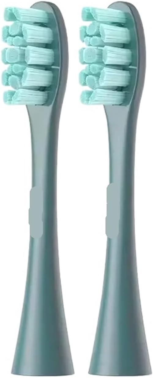 Compatible for Oclean Electric Toothbrush Brush Heads for X Pro Elite Flow Z1 X10 E1 Air 2 All Series Smart Accessories(Oclean PW09 2PCS)