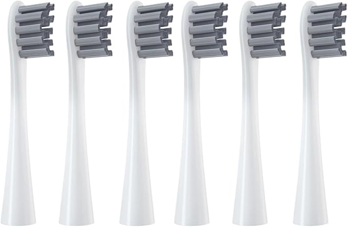 Replacement Brush HeadsaCompatible for Oclean Flow/X PRO Elite/X /F1/Z1/One/ Air2 Sonic Electric Toothbrush Nozzles(6 HUIOC)