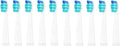 20pcs Tooth Brush Head Compatible for Seago-507B/908/909/917/610/659/719/910/575/551/548 Toothbrush Deep Clean Bristle Brush(White)
