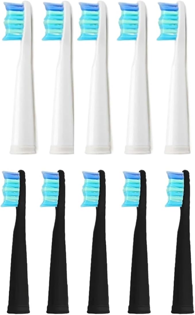 10pcs Electric Replacement Brush Heads Toothbrush  Compatible for Seago SG910 SG507 SG958 SG515 SG949 SG575(10 Black Heads)