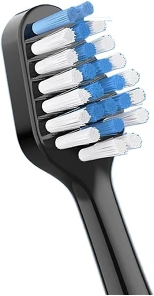 Replacement Toothbrush Heads 10 Pcs BrushCompatible with Waterpik 5.0/9.0 (WP-861/CC-01)(10 Black)