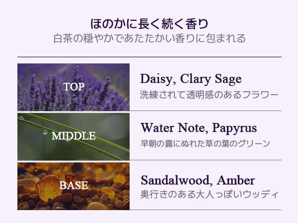 Sage Amber Purple Tea Perfumed Body Wash Hydrating Body Cleanser for Sensitive Skin | Gentle Moisturizing Non-Sticky Floral Woody Scent | Korean Skin Care
