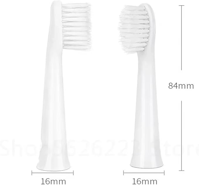 8PCS Replacement Toothbrush Head Compatible for Doltz DM71/DM81/DM711/DM712/DM61/DML1/DM31/PDM7B/MDB3A Electric