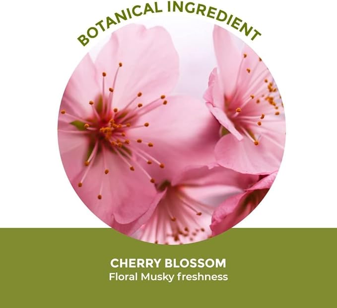 Yves Rocher Cherry Blossom Bloom Perfumed Shower Gel Nourishing &amp Moisturizing Body Wash – Set of 2 or Set of 3 Gift Kit 200 ml/6.7 fl.oz