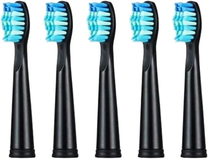 Tooth Brush HeadCompatible for Seago-507B/908/909/917/610/659/719/910/575/551/548 Electric Toothbrush(5pcs Black)