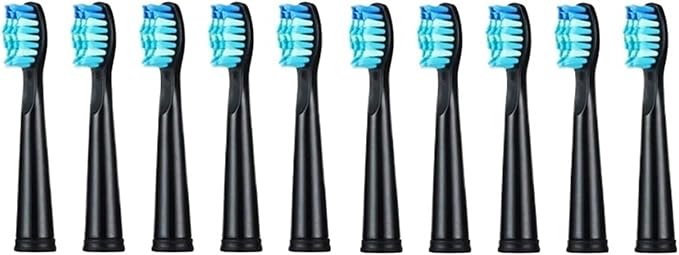 Tooth Brush HeadCompatible for Seago-507B/908/909/917/610/659/719/910/575/551/548 Electric Toothbrush Deep Clean(10pcs Black)