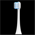 Compatible with Lohmann Electric Toothbrush T3/T5/T6/T10S/E7/s3/T20/P6 Replacement Brush Head(White White Blue Pointed Fur)