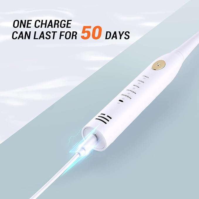 10 Pack Rechargeable Sonic Electric Toothbrush 42000 VPM 6 Cleaning Modes Smart 2-Min Timer USB Rechargeable IPX7 Waterproof 4 Brush Heads