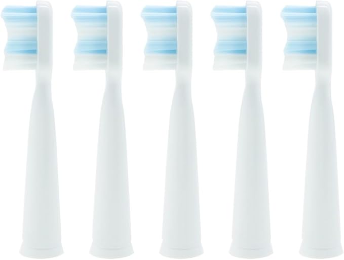 15PCS Replaceable Toothbrush HeadsCompatible for Seago Tooth Brush Head Soft Bristle SG-507B/908/909/917/610/659/719/910(Black B)