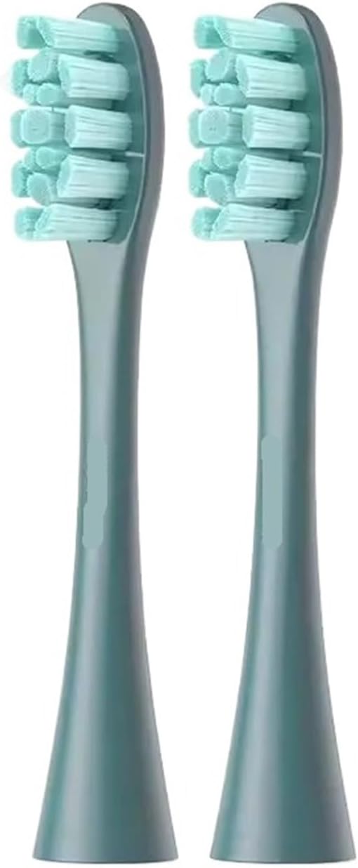 Compatible for Oclean Electric Toothbrush Brush Heads for X Pro Elite Flow Z1 X10 E1 Air 2 All(Oclean PW09 2PCS)