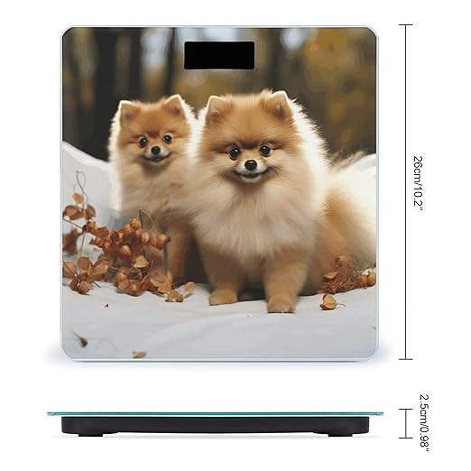 Cute Pomeranian Scale for Body Weight Digital Bathroom Scale Accurate Smart Weight Scales with Large Display Weighing Machine High Precision Scales