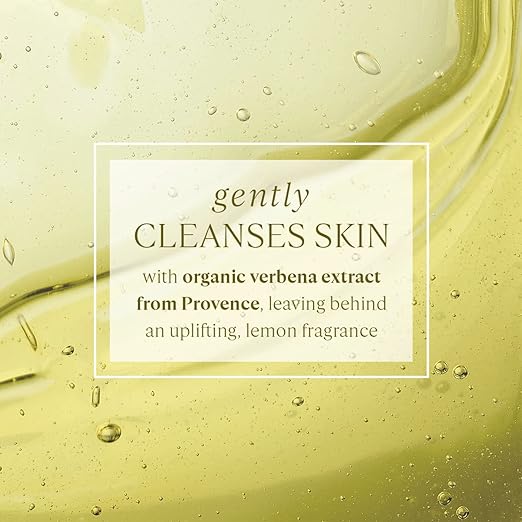L'OCCITANE Bath &amp Shower Gel Daily Foaming Body Wash Gently Cleanses Moisturizes &amp Refreshes Skin Eco-Friendly Options All Skin Types Vegan