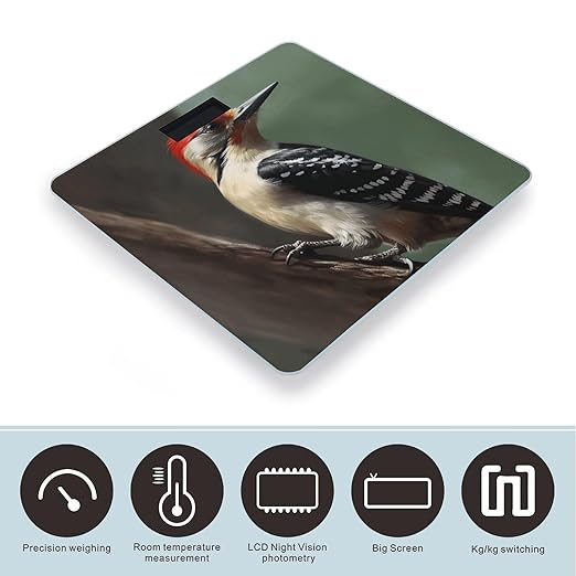 Woodpecker Bathroom Scale Large LCD Backlight Display Digital Scale Rounded Corners Body Scales Automatic Power On/Off Bathroom Scales for Home Bedrooms