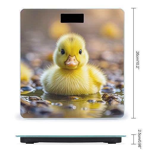 Cute Ducks Bathroom Scale for Body Weight with High Precision Large LCD Backlight Display Digital Weighing Scale with BMI Capacity Up to 180kg