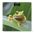 Digital Bathroom Scale for Body Weight Scale with Bright LCD Display High Accuracy Step-On Technology Auto On/Off Tree Frog Digital Scales 400 Lbs /180kg