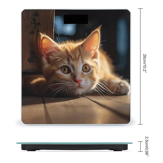 Small Orange Cat Bathroom Scale for Body Weight Bathroom Weighing Scale with Backlit LCD Display Highly Accurate Measures Weight Up to 180kg