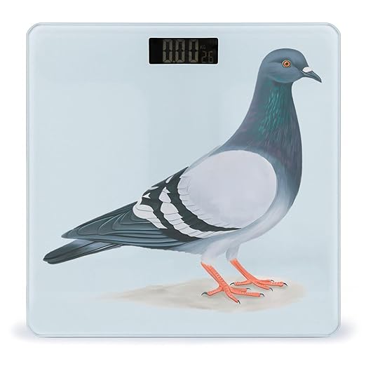 Digital Bathroom Scale for Body Weight Scale with Bright LCD Display High Accuracy Step-On Technology Auto On/Off Pigeon Digital Scales 400 Lbs /180kg