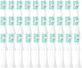 Compatible for Philips HX6100 HX6220 HX6212 HX6312 HX6411 HX6431 HX6500 HX6511 HX6512 Replacement DuPon Toothbrush Soft Bristle Brush Heads(400mm)