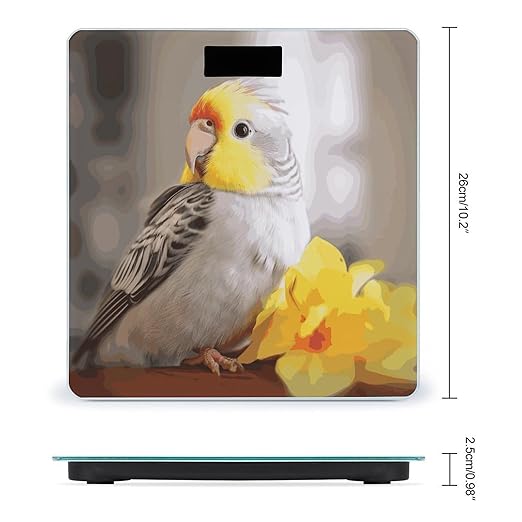 Cute Cockatiel Weight Scale Digital Electronic Scales Bathroom Scale Larg LCD Backlight Display High Precision MeasurementsTempered Glass