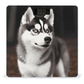 Cute Husky Dog Bathroom ScaleHighly Accurate Digital Weighing Machine for People Bright LED Display Weight Scale for The Aldult Home Use