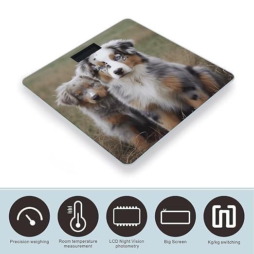 Australian Shepherd Bathroom Scale Automatic Power On/Off Body Scales LCD Backlight Display Square Digital Scale Rounded Corners Bathroom Scales for Home Bedrooms