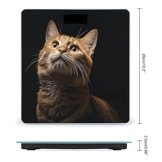Cat Looks Up Bathroom ScaleHighly Accurate Digital Weighing Machine for People Bright LED Display Weight Scale for The Aldult Home Use
