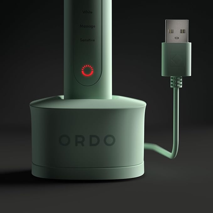 ORDO Sonic+ Electric Toothbrush with Case Sonic Toothbrushes for Adults Charging Travel Case 4 Brushing Modes Fast Rechargeable Battery Silicone Polishing USB Charger Mint Green