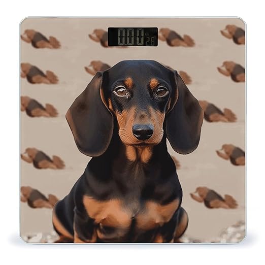 Dachshund Dog Bathroom Scale for Body Weight Bathroom Digital Electronic Weighing Scale with Back Lit LED Display Sturdy Tempered Glass Weight Watchers Scales 400lb