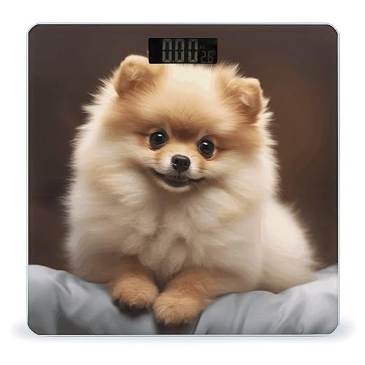 Cute Pomeranian Dog Weight Scale for Body Weight Digital Bathroom Scale High Capacity Accurate Digital Weighing Scales and Easy-to-Read on Backlit LCD Display Scales